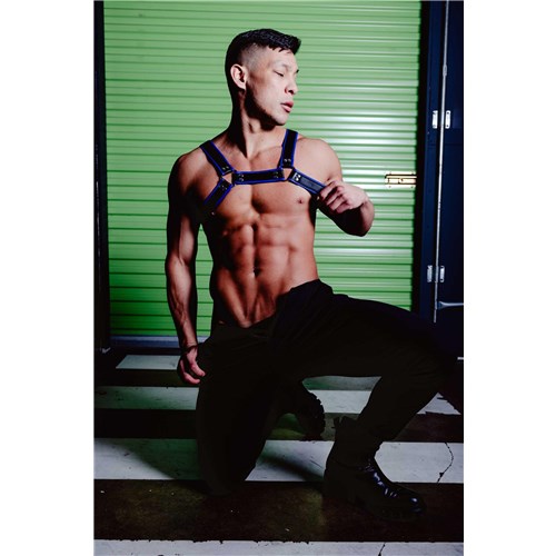 Male model posed wearing chest harness front view