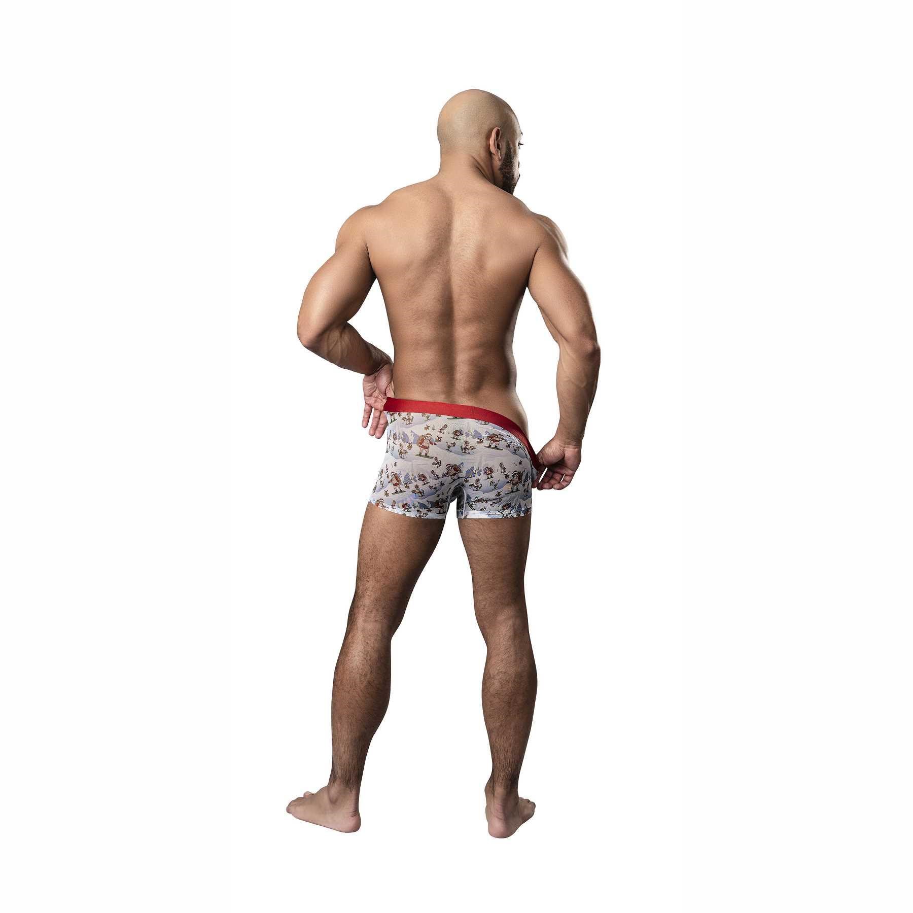 St. Dick Mesh Boxer Short on male